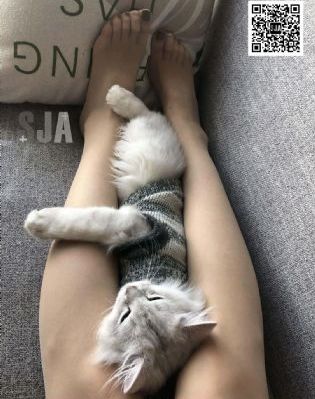 131美女视频黄的免费_4K在线播放